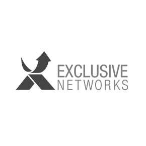 Exclusive-Networks logo