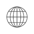 Globe icon